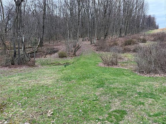 5th image of 0 Saxonburg Rd