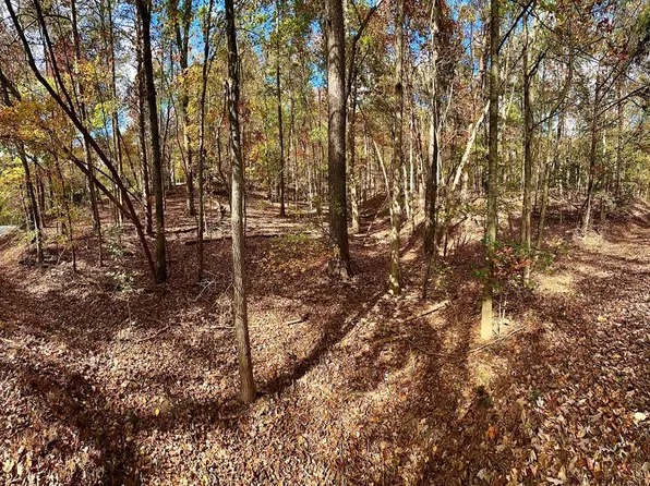 291 Creekside Dr, Ellijay, GA 30540