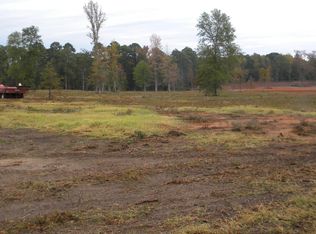 4328 Buie Rd, Diana, TX 75640