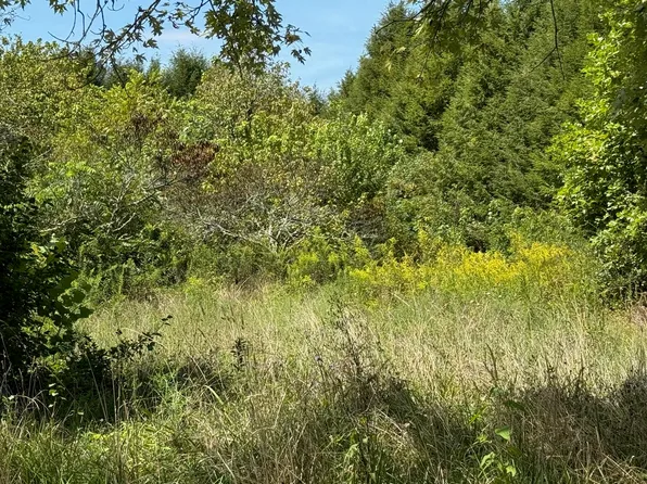 1235 Tatesville Rd, Palmer, TN 37365