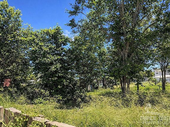 5th image of Bo Jobos Isabela