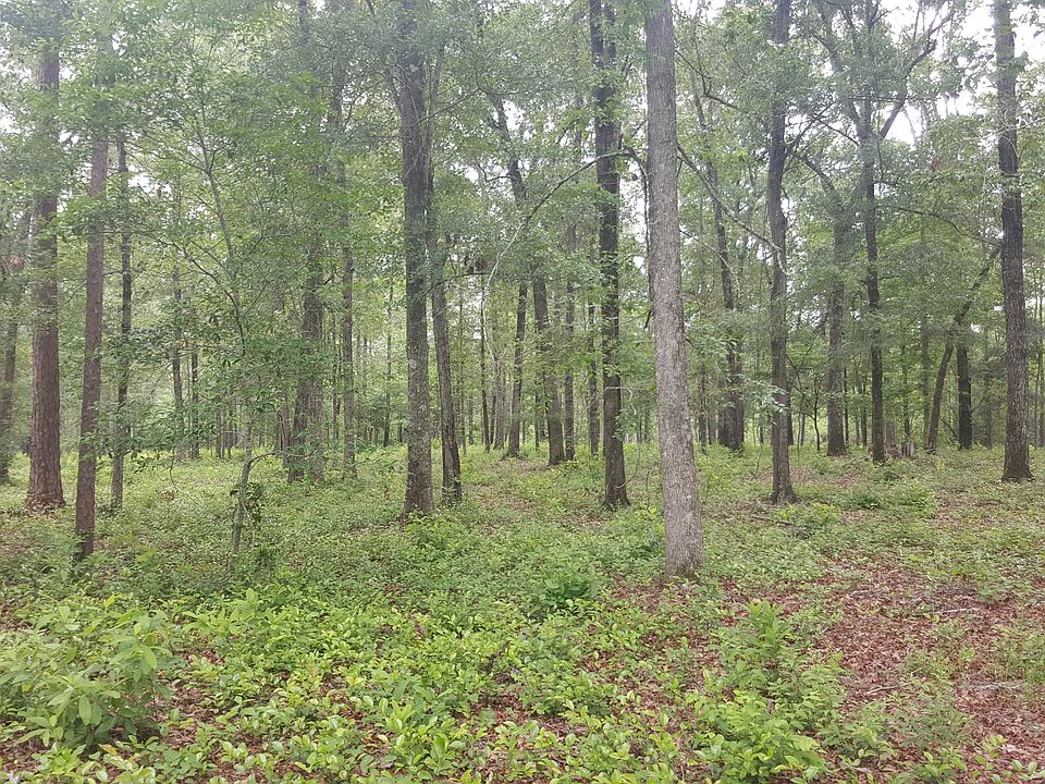 Hardwood Area