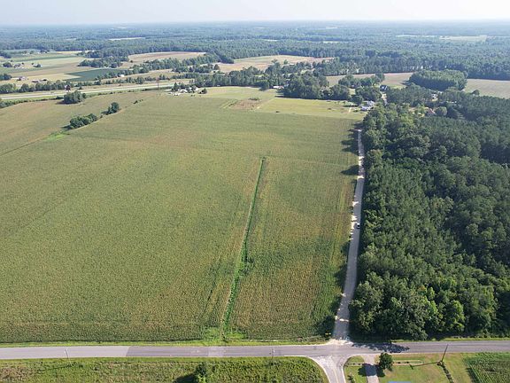 4th image of 24.36 Acres - Newman Swamp Rd