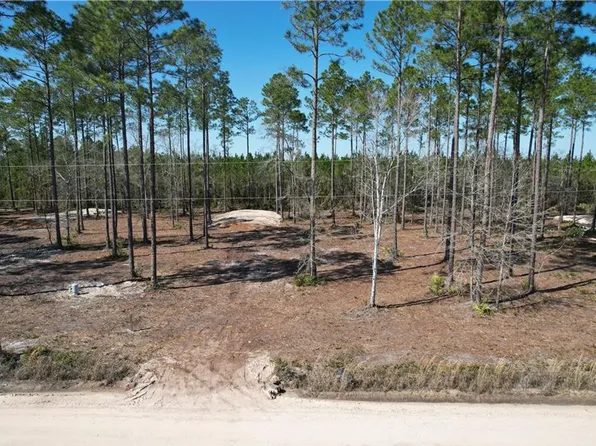 1771 & 1807 Albert Gibson Rd, Hortense, GA 31543