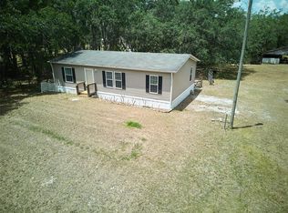 720 Wendel Ave, Lithia, FL 33547