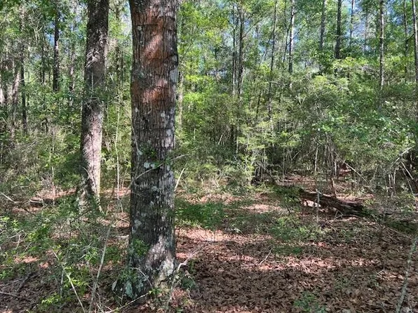 State Highway 55, Florala, AL 36442