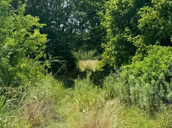 0 Fitch Rd, Ten Mile, TN 37880