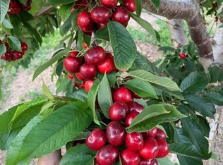 1099 Lemon Ave, Patterson, CA 95363