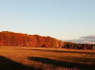 4275 N Rolland Rd, Weidman, MI 48893