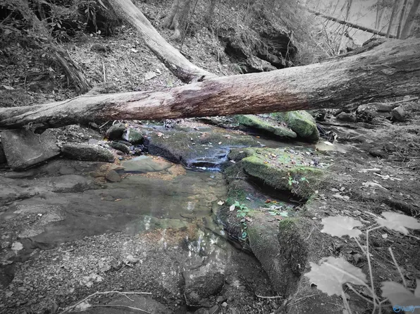 70 Hickory St, Hamilton, AL 35570