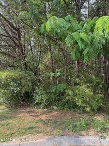 Seth Rd #15, Pigeon Forge, TN, 37863