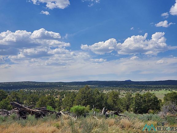 2nd image of Pinon Trails Cir