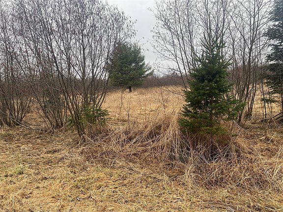 3rd image of ON Shauger Road