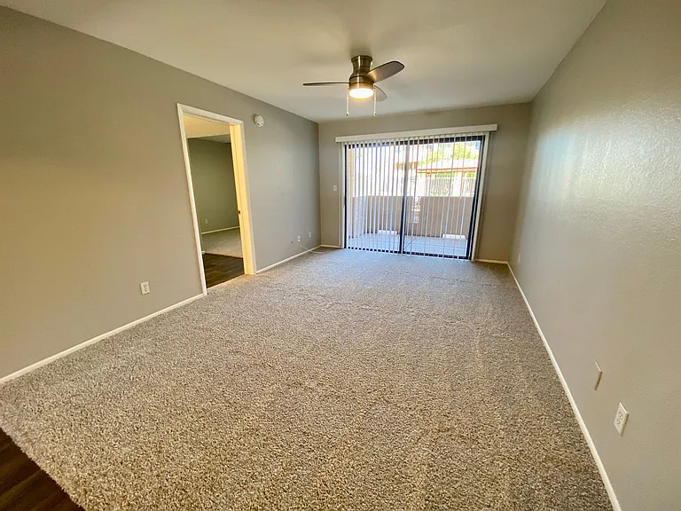 1215 E Lemon St #131 — Photo 7