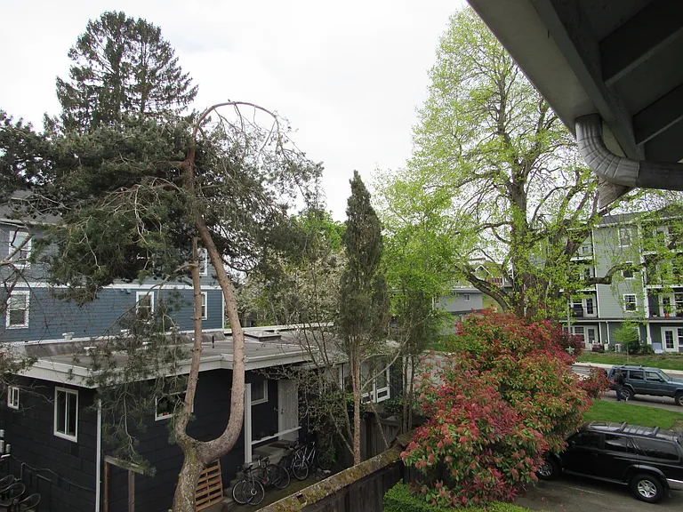 1024 Billy Frank Jr St #301 — Photo 23