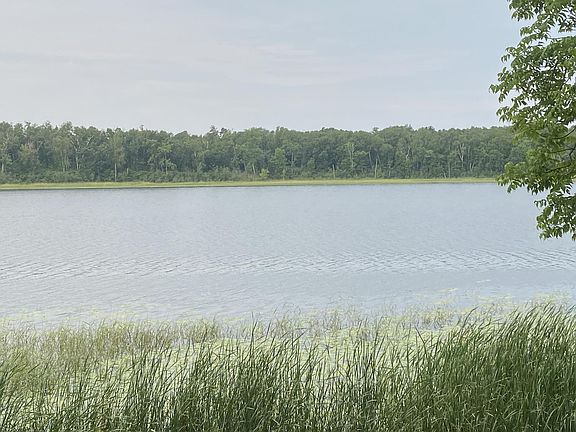 2nd image of Wolf Ridge Dr
