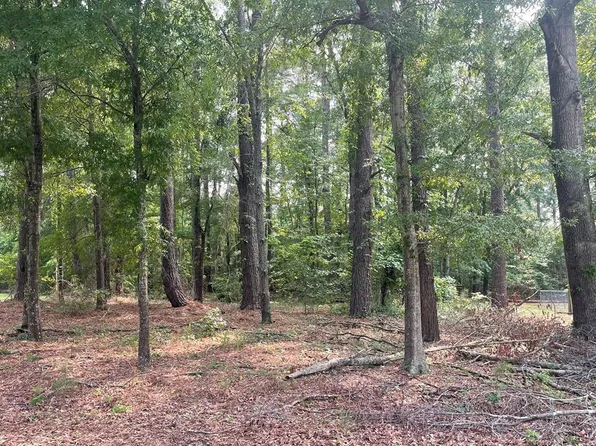 0 Gin Pond Dr, Summerton, SC 29148