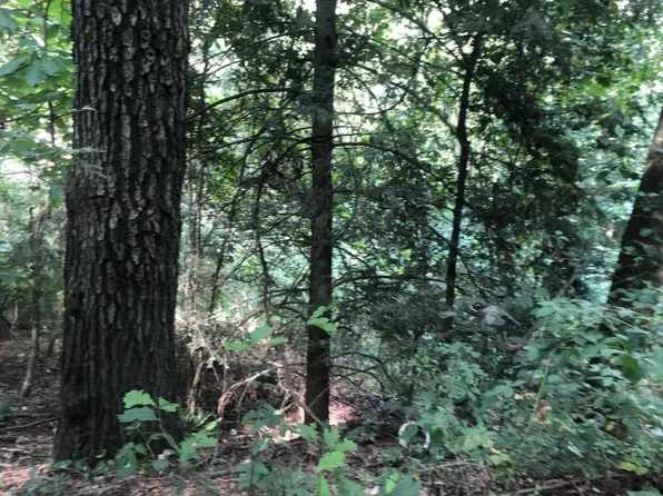 0 Kelly Rd #4, Phil Campbell, AL 35581