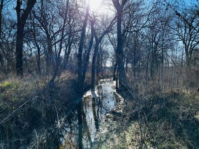 Hcr 3350 Tract #16, Hubbard, TX, 76648