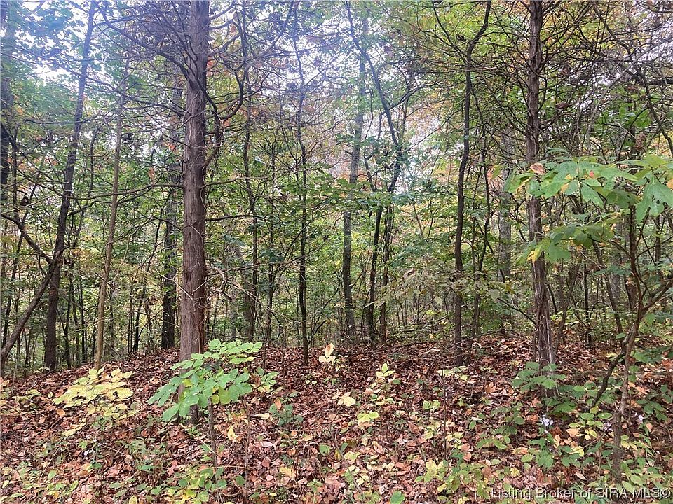 2nd image of Tract 5 E Pilot Knob Road