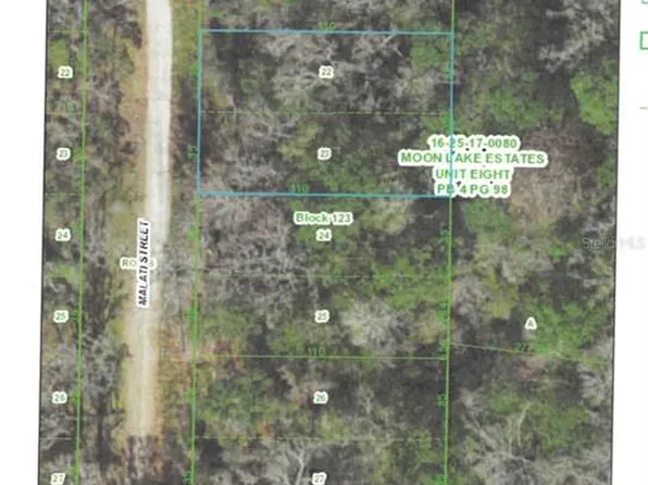 Malati St Lot 22-23, New Pt Richey, FL 34654