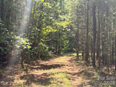 0 Thompson Lake Rd, Rutherfordton, NC, 28139