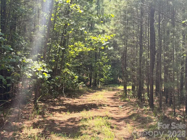 0 Thompson Lake Rd, Rutherfordton, NC 28139