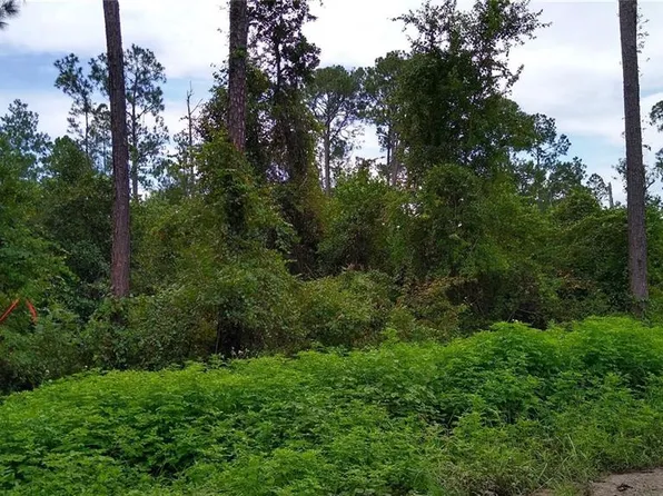 12th Ave #5, Deland, FL 32724