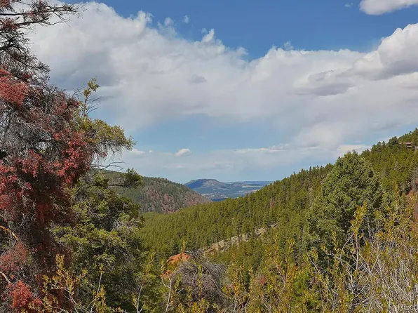 13499 S Firedog Way, Larkspur, CO 80118