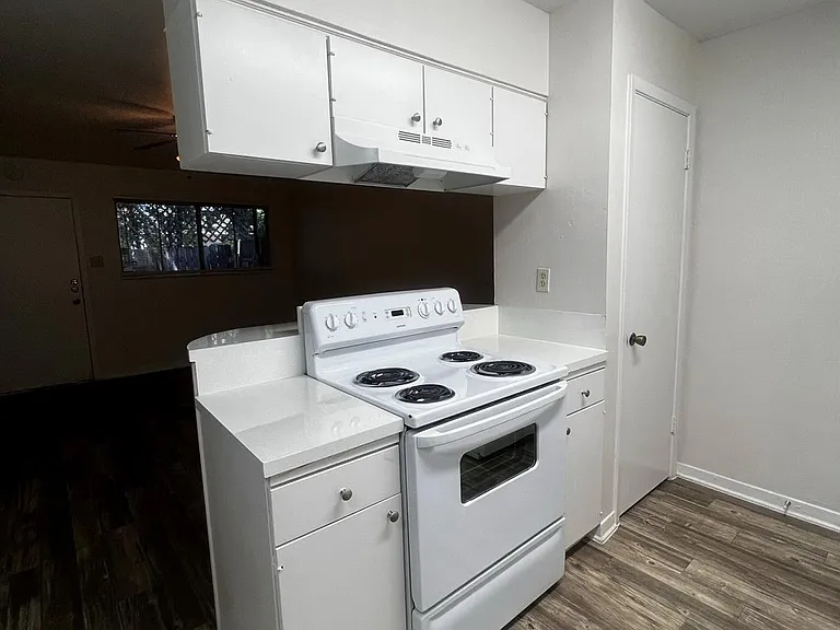 1037 E 44th St #205 — Photo 3