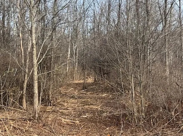 453 Gage Road, Delanson, NY 12053