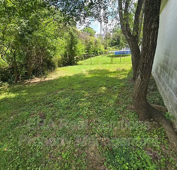 1124 Olney Dr — Photo 19