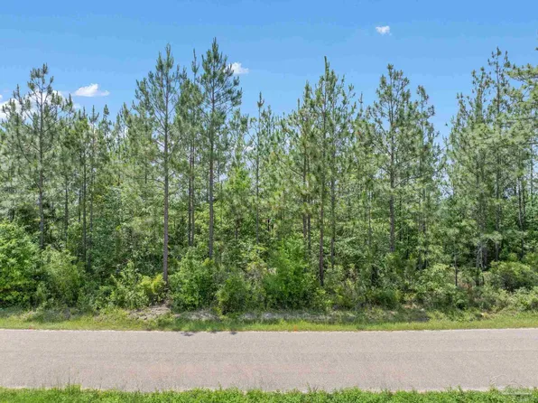 LOT 52 Mineral Springs Rd, Jay, FL 32565
