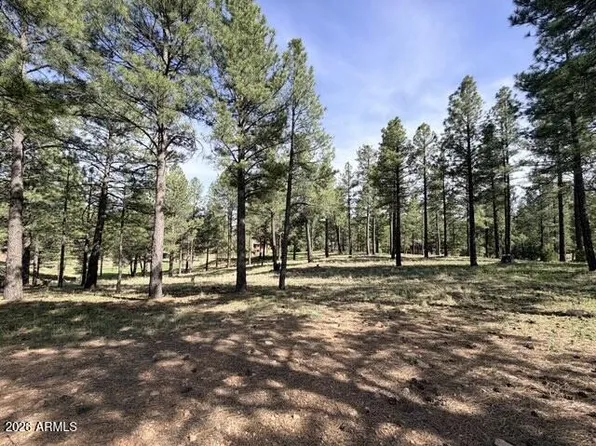 3698 S Woodland Hills Drive #383, Flagstaff, AZ 86005