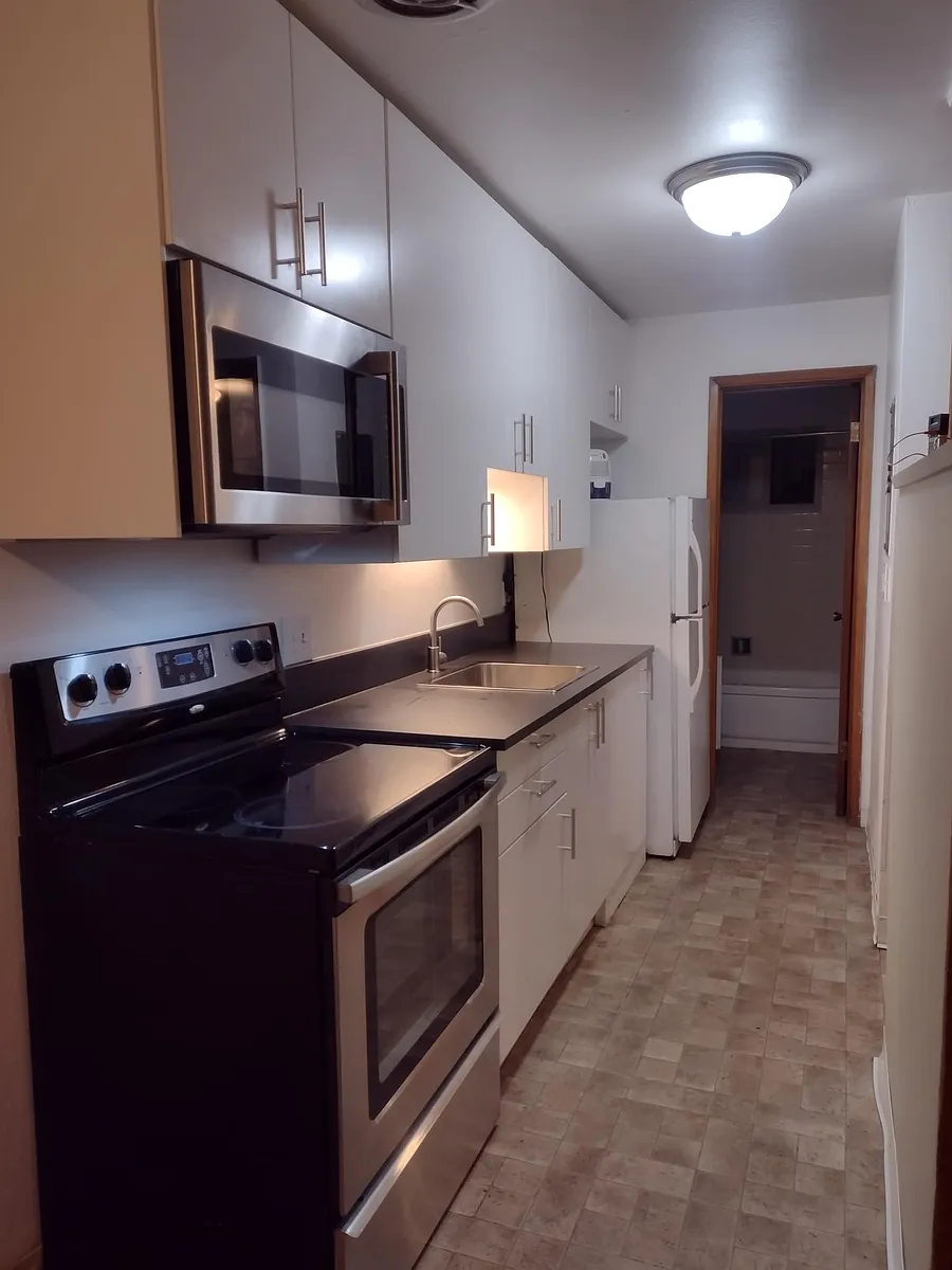 New kitchen cupboards, counter, microwave. Bathroom at the back - 1301 W Emerson St #4