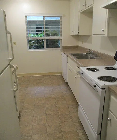 155 Magnolia Ave #B — Photo 5