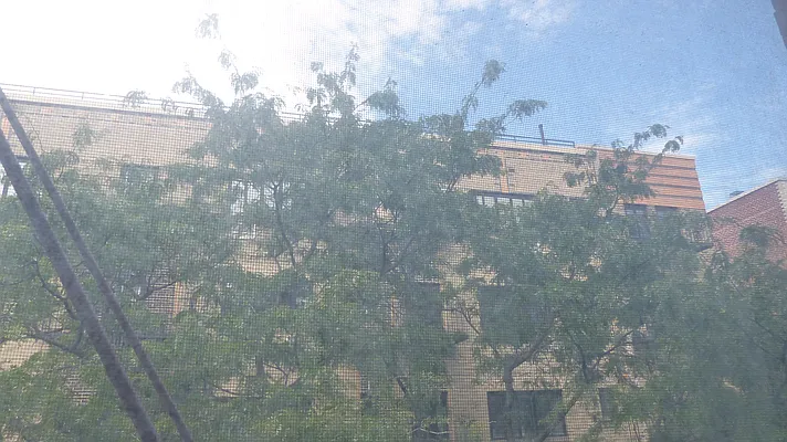 Rented by Immac Realty | media 21