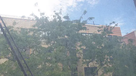 Rented by Immac Realty