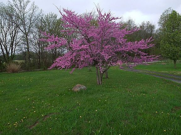 4th image of 387 County Road 218