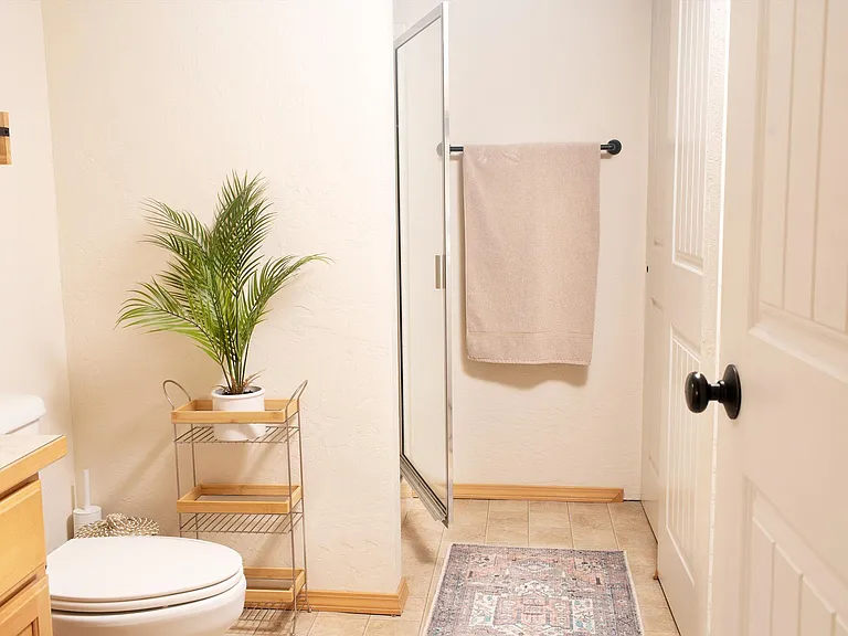 Downstairs Bathroom - Shower stall, no tub - Shower Handle / Hose