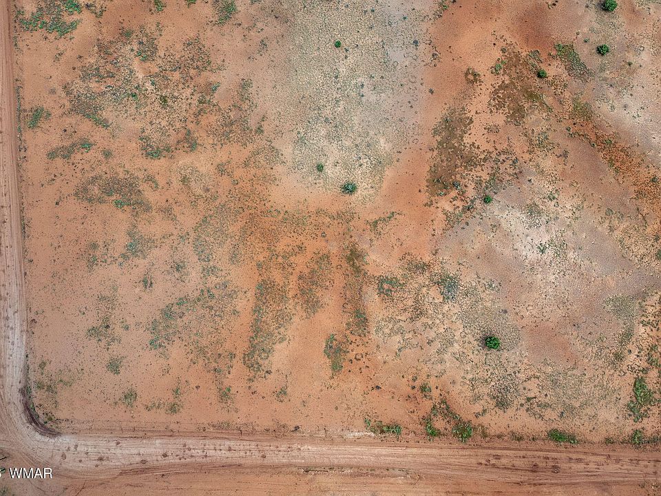 19th image of 316 County Road 9211