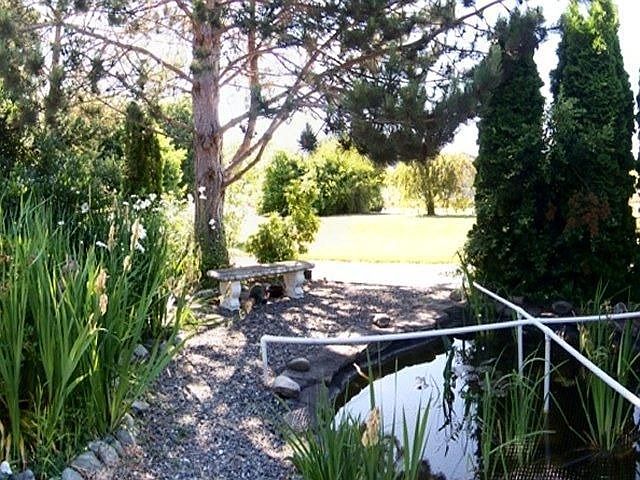 Pond in Front