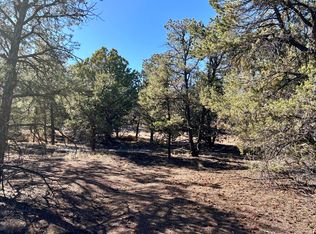 LOT 163 Windmill Cir, Datil, NM 87821