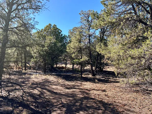 LOT 163 Windmill Cir, Datil, NM 87821