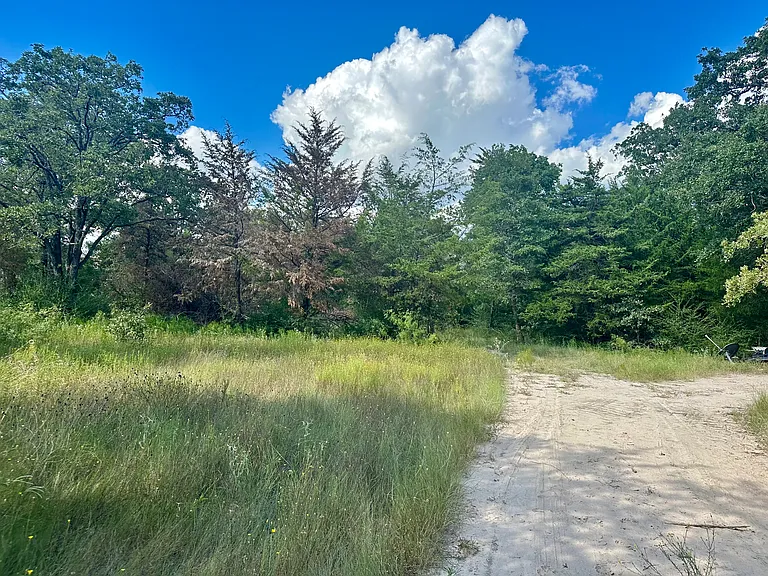 Walking Trails