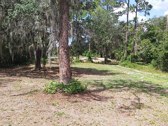 View of front yard