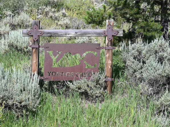 23590 Youngs Creek Way, Oak Creek, CO 80467