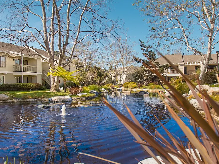 12269 Carmel Vista Rd #169 — Photo 15