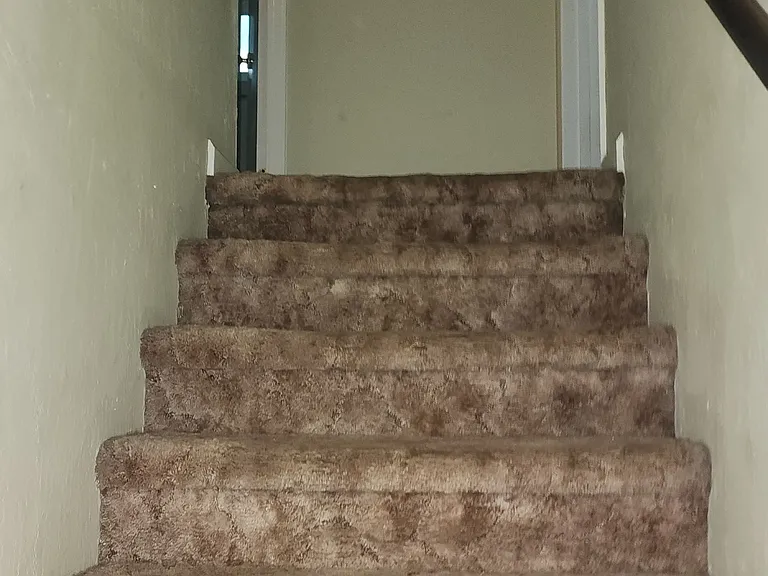 2808 Loyal Ln — Photo 19