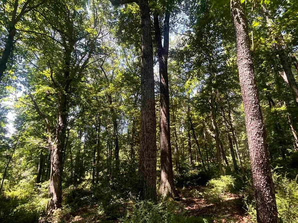 Spottswood Rd, Steeles Tavern, VA 24476
